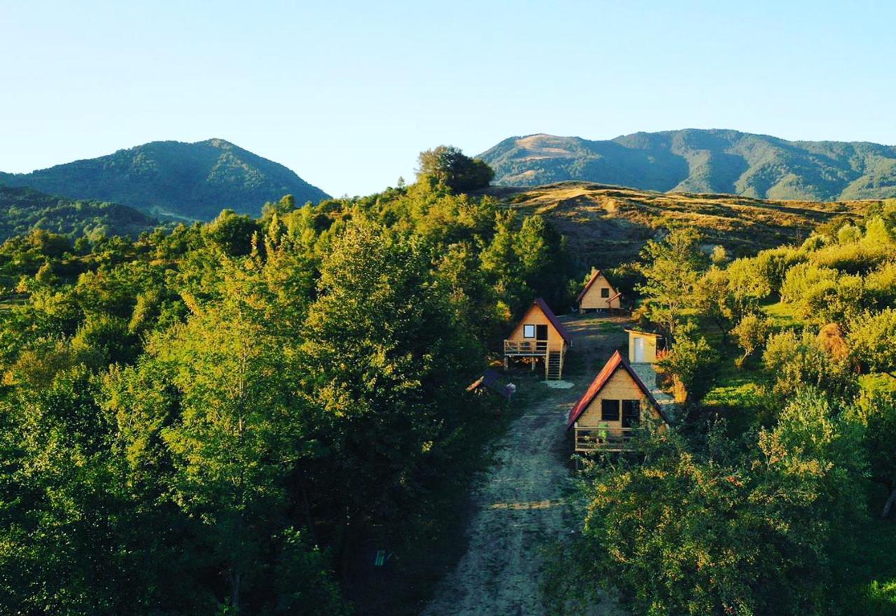Cabanele Lu' Dinu Curtea de Argeş Extérieur photo