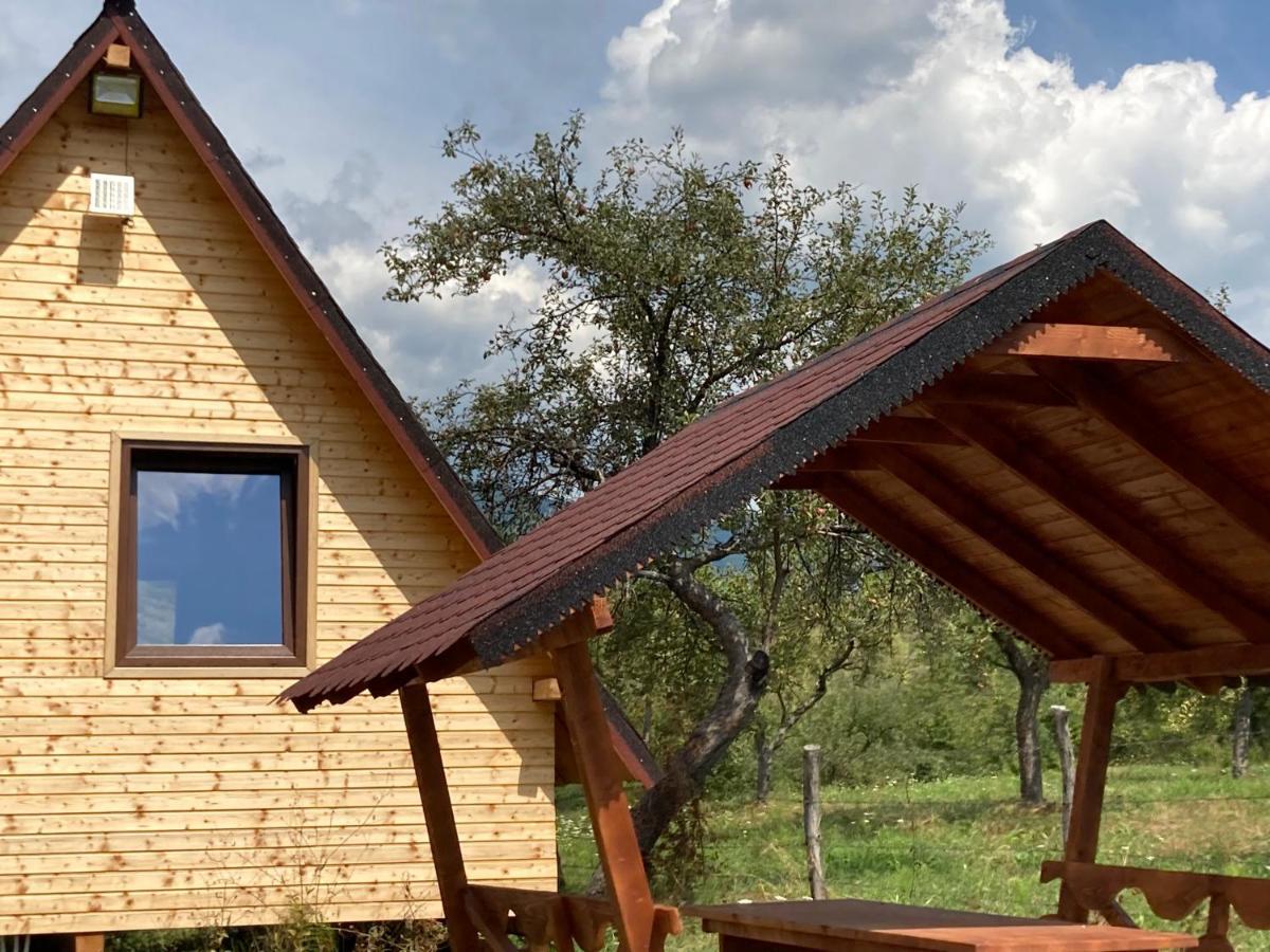 Cabanele Lu' Dinu Curtea de Argeş Extérieur photo