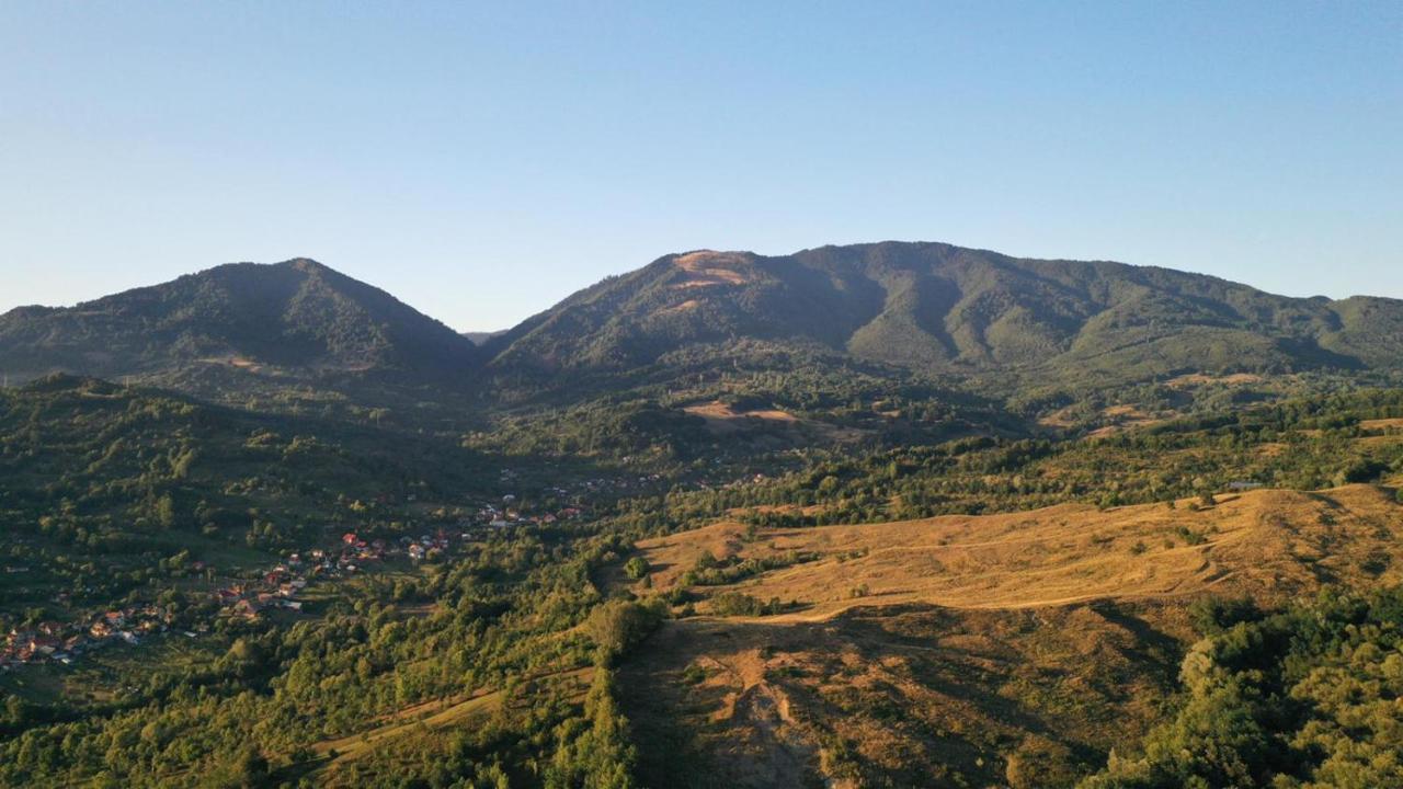 Cabanele Lu' Dinu Curtea de Argeş Extérieur photo