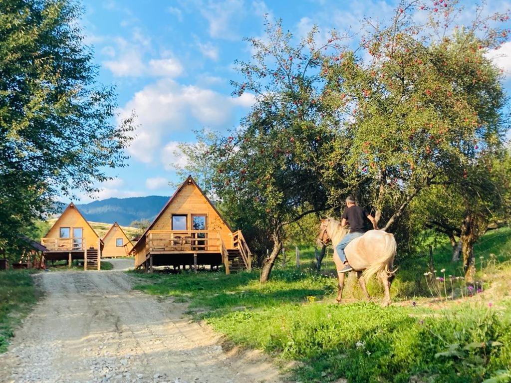 Cabanele Lu' Dinu Curtea de Argeş Extérieur photo