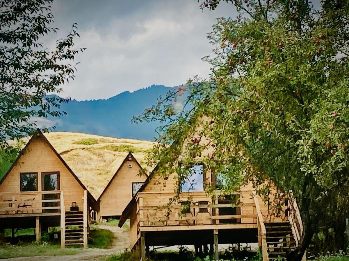 Cabanele Lu' Dinu Curtea de Argeş Extérieur photo