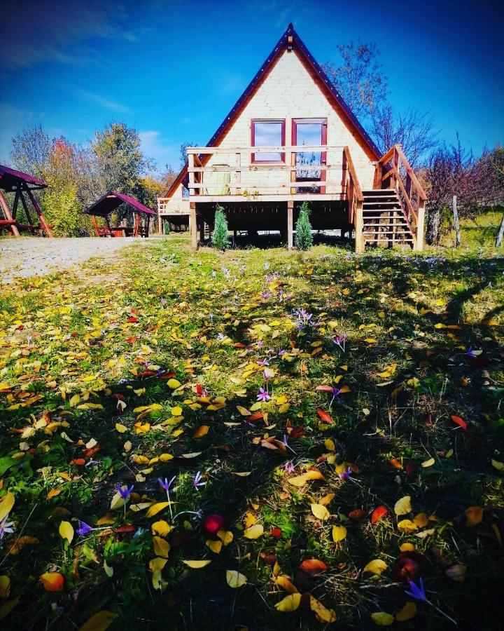 Cabanele Lu' Dinu Curtea de Argeş Extérieur photo