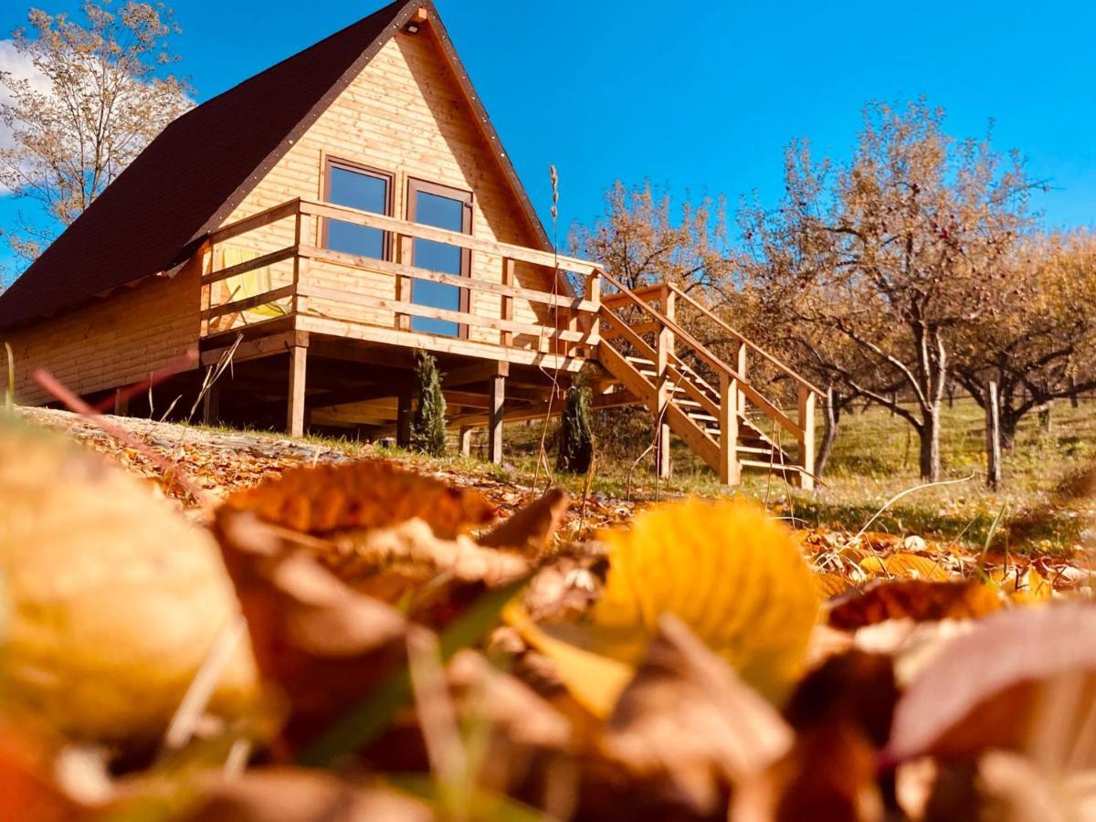 Cabanele Lu' Dinu Curtea de Argeş Extérieur photo