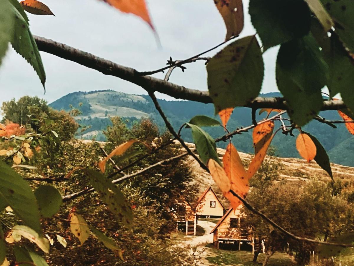 Cabanele Lu' Dinu Curtea de Argeş Extérieur photo